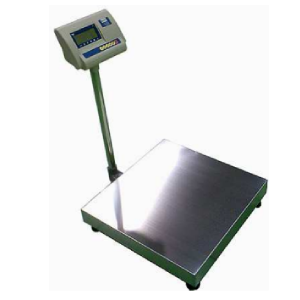 Modèle IP Basic ASCELL